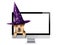 Funny Halloween dog peeping inside monitor pc witch hat isolated