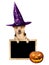 Funny Halloween dog witch hat peeping blank blackboard chalkboard isolated