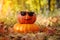 Funny Halloween. Pumpkin in sunglasses in the forest.