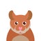 Funny hamster in cartoon style.