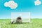 Funny hamster near toy soccer ball and gates on green grass on blue background with clouds