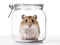 Funny hamster sitting in glass on white