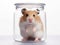 Funny hamster sitting in glass on white