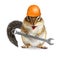 Funny handyman chipmunk worker with helmet and wrench isolated o