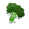 Funny happy broccoli drawing illustration isolated background