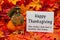 Funny Happy Thanksgiving Greeting