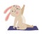 Funny Hare Animal on Yoga Mat Practicing Asana and Stretching Vector Illustration