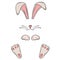Funny hare bunny paws, nose and ears for easter mask holiday