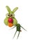 Funny hare made of green vegetables