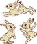 Funny hares