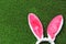 Funny headband with Easter bunny ears on green grass, top view