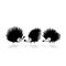 Funny hedgehog, black silhouette for your design