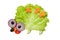 Funny hedgehog made of vegetables on white background