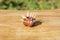 Funny hedgehog shape character or figurine made with chestnuts on a wooden background in a sunny day