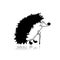 Funny hedgehog, sketch for your design