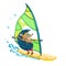 Funny hedgehog on windsurf. Vector illustration