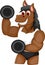 Funny horse cartoon fitness