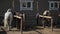 Funny horse scratches its neck on a wooden partition at the horse ranch stables