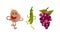 Funny Humanized Vegetables Smiling and Dancing Vector Set