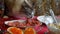 Funny hungry adult fluffy cat steals food from the holiday table