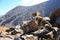 Funny husky is tired and sitting outdoors in the mountains