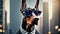 Funny illustration with Doberman dogs wearing sunglasses and a suit on a city background 4K