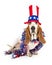 Funny Independence Day Basset Hound