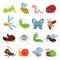 Funny insect set, bug, beetle, butterfly symbol