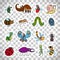 Funny insects stickers on transparent background