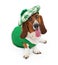 Funny Irish Basset Hound Dog