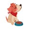 Funny Jack Russell Terrier Character Eating Dry Feed Vector Illustration