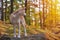 Funny Japanese Dog Akita Inu puppy in autumn forest looking back