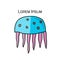 Funny jellyfish, sketch for your design