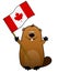 Funny joyful cartoon beaver with Canadian flag