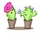 Funny kaktus male and female flowers. Houseplants. Cartoon illustration isolated