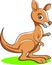 Funny kangaroo