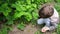 Funny kid collect and eat ripe strawberries in the summer garden.