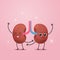funny kidneys characters cute human internal organ mascot anatomy healthcare medical concept renal system structure