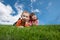 Funny kids lying on grass with blue sky