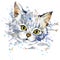 Funny kitten and fish T-shirt graphics