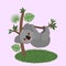 Funny koala baby hanging on a tree with leaves. flat vector illustration isolated