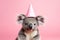 Funny Koala in birthday cap isolated on light pink background. Concept of funny animals and happy birthday. Banner with