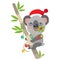 Funny Koala Christmas Vector. Merry Christmas From Australia. Cute Animal Cartoon Character Holiday.