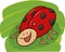 Funny ladybug