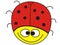 Funny ladybug