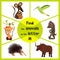 Funny learning maze game, find all 3 cute wild animals with the letter M, field mouse, macaque monkey tropical and insect-eating m