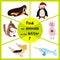 Funny learning maze game, find all 3 cute wild animals with the letter P, Arctic penguin, sea bird Pelican and domestic pigs. Educ