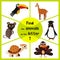 Funny learning maze game, find all 3 cute wild animals with the letter T, tropical Toucan from South America, sea turtle and poult