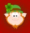 Funny Leprechaun Face