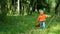 Funny little boy of 1.5 years bears the mushrooms in the basket